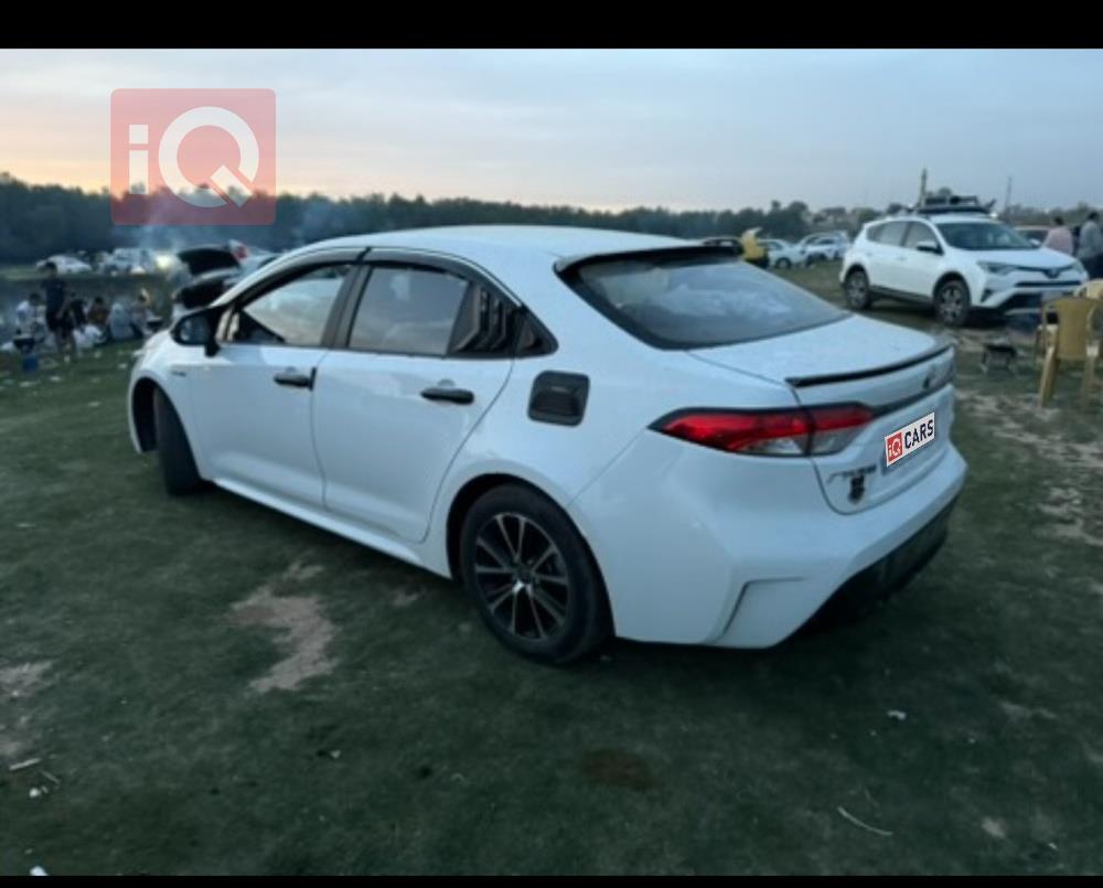 تويوتا كورولا